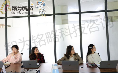 2021年蘇州高新技術企業申報 財務審計與研發管理優化及勞務派遣服務指南